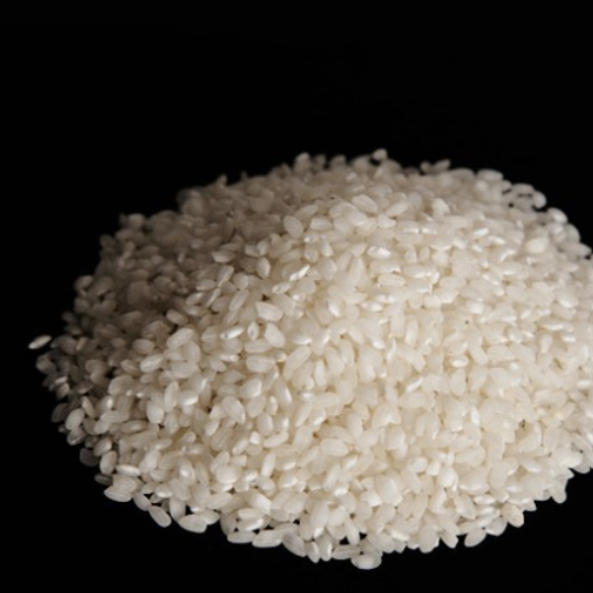 Bomba Rice