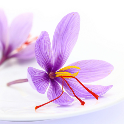 Saffron Flower